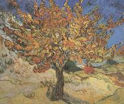 Vincent Van Gogh The Mulberry Tree (nn04) oil painting on canvas